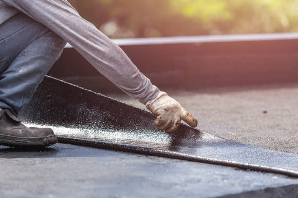 Professional Basement Waterproofing technician working in Sunbright, TN